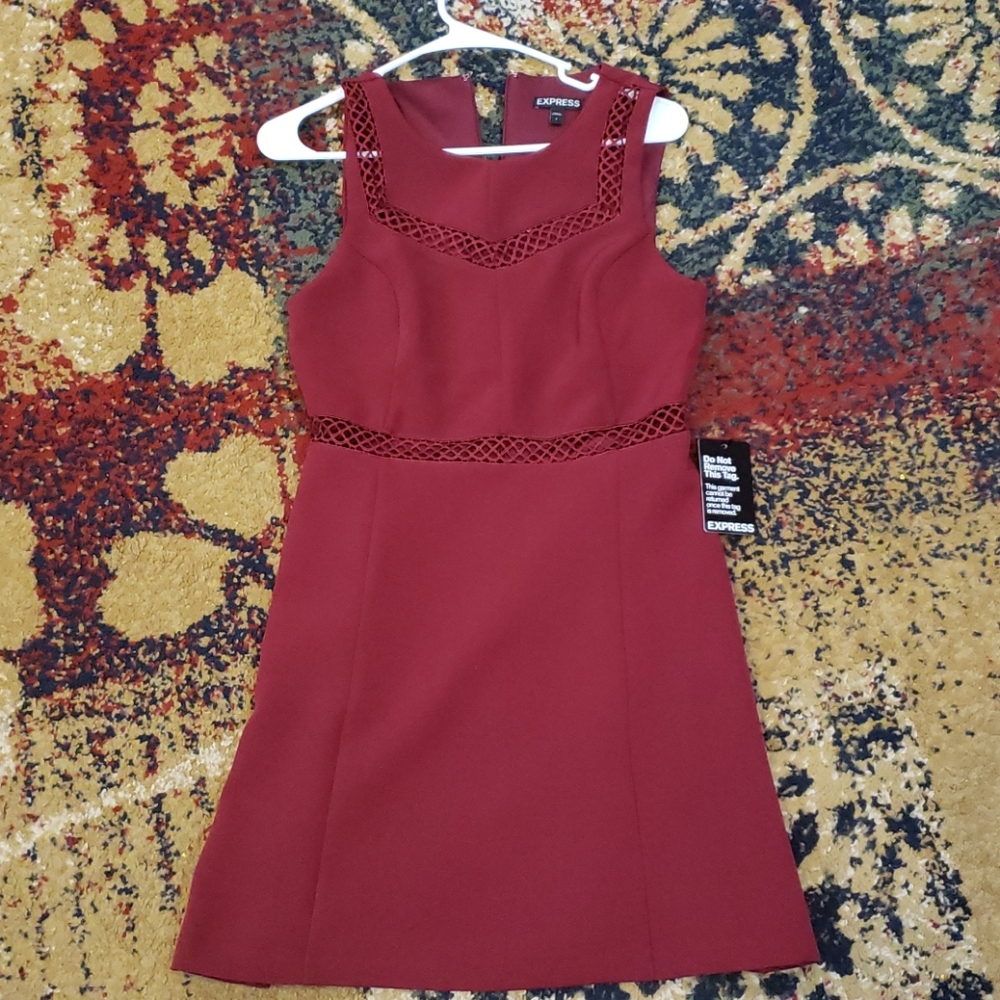 Express Burgandy dress